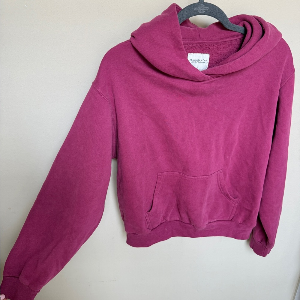 Abercrombie & Fitch Berry Hoodie